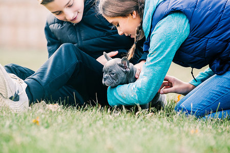 simsearch:649-08004031,k - Children playing with puppy on grass Stock Photo - Premium Royalty-Free, Code: 614-09253605
