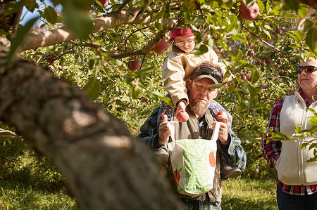 family apple orchard - Father and daughter picking apples from tree Stock Photo - Premium Royalty-Free, Code: 614-09253762