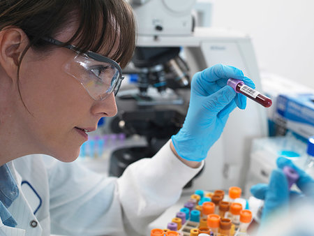 simsearch:649-07279799,k - Female scientist examining blood sample ready for testing  in laboratory Stock Photo - Premium Royalty-Free, Code: 614-09253874