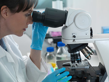 simsearch:649-07585094,k - Medical testing of variety of human samples including blood and tissue under microscope in laboratory Stock Photo - Premium Royalty-Free, Code: 614-09253875