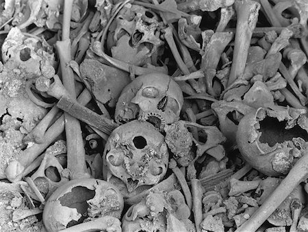 piles of bones - OS et des crânes humains Photographie de stock - Premium Libres de Droits, Code: 614-00657816
