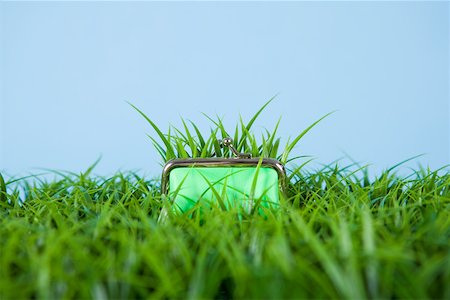 Grass growing out of a purse Stock Photo - Premium Royalty-Free, Code: 614-01701697