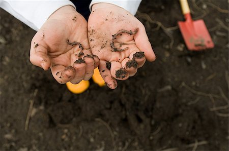 Child with worms in hands Stock Photo - Premium Royalty-Free, Code: 614-02612803