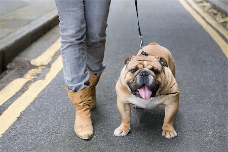 Bulldog and owner Stock Photo - Premium Royalty-Free, Code: 614-02640923