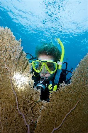 Diver framed by sea fan. Stock Photo - Premium Royalty-Free, Code: 614-02837734