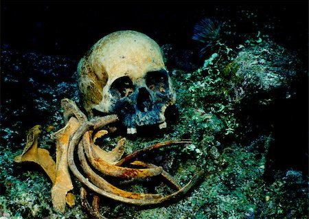 Human remains on shipwreck. Stock Photo - Premium Royalty-Free, Code: 614-02837825