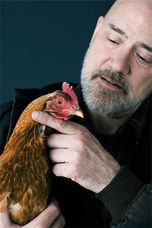 farmer looking at farm photos - Man holding a chicken Stock Photo - Premium Royalty-Free, Code: 614-02838721