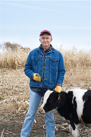 Farmer with a calf Stock Photo - Premium Royalty-Free, Code: 614-03359490