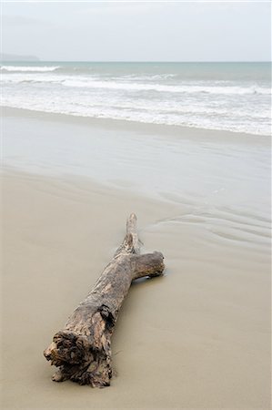 drift wood - Westland, driftwood on Gillespies Beach Stock Photo - Premium Royalty-Free, Code: 614-03455017