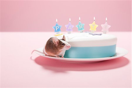 Mouse with party cake Stock Photo - Premium Royalty-Free, Code: 614-03455545