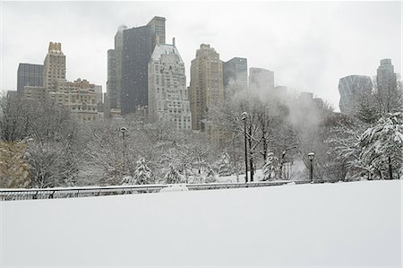 snow christmas tree white - Central park dans la neige Photographie de stock - Premium Libres de Droits, Code: 614-03507071