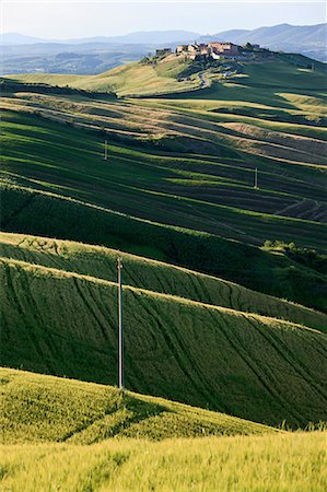 simsearch:649-07064003,k - Paysage près de Sienne, Toscane, Italie Photographie de stock - Premium Libres de Droits, Code: 614-03684324