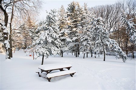 public park - Park in winter Stock Photo - Premium Royalty-Free, Code: 614-03902584