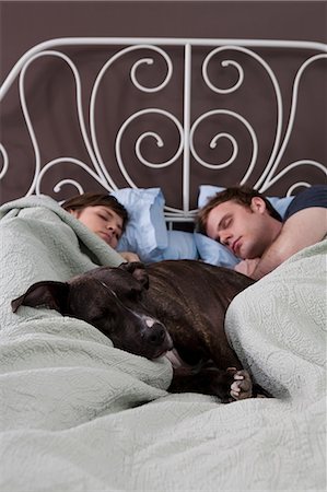 sleeping pet person - Young couple asleep in bed with dog Stock Photo - Premium Royalty-Free, Code: 614-03981522