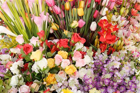 florist - Fleurs, plein cadre Photographie de stock - Premium Libres de Droits, Code: 614-03981563