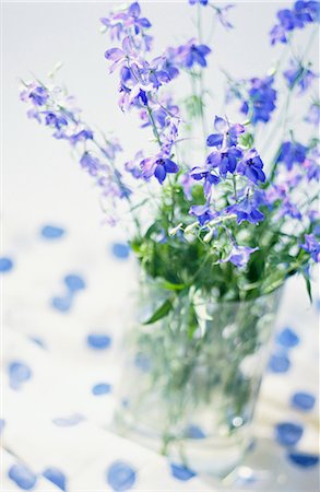 Flowers in a vase, close-up. Foto de stock - Sin royalties Premium, Código: 6102-03748121