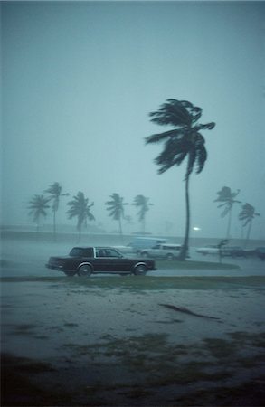 palm - Cars on beach during storm Stock Photo - Premium Royalty-Free, Code: 6102-03859083