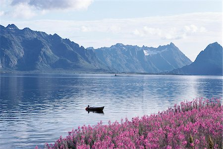 rowboat - Pinks flowers in front of lake, mountains in background Stock Photo - Premium Royalty-Free, Code: 6102-03859085