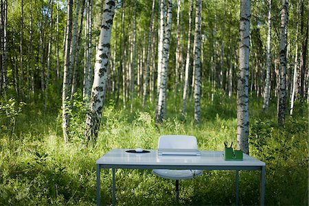 A computer on a white desk in a forest, Sweden. Stock Photo - Premium Royalty-Free, Code: 6102-03866150