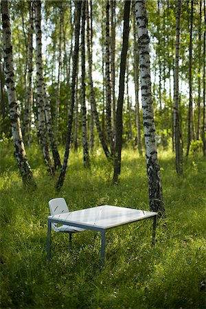 A white desk in a forest, Sweden. Stock Photo - Premium Royalty-Free, Code: 6102-03866151