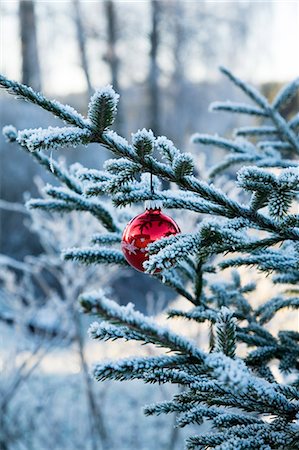 simsearch:6102-06337107,k - Une boule de Noël arbre accroché dans un arbre de Noël, Suède. Photographie de stock - Premium Libres de Droits, Code: 6102-03826751