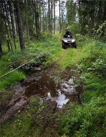 Four-wheeler in a forest, Sweden. Foto de stock - Sin royalties Premium, Código: 6102-03827773