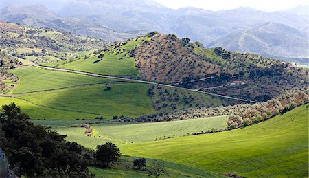 expansive - View of Andalusia, Spain. Stock Photo - Premium Royalty-Free, Code: 6102-03827940