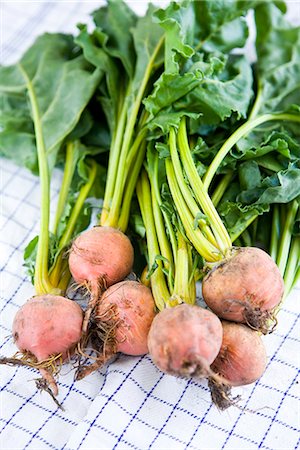 simsearch:6102-06965816,k - Yellow beetroot, close-up, Sweden. Stock Photo - Premium Royalty-Free, Code: 6102-03828379