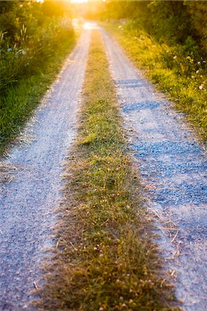 simsearch:6102-06026084,k - Gravelled road at sunset, Sweden. Stock Photo - Premium Royalty-Free, Code: 6102-03828336