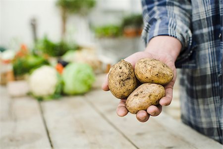 simsearch:6102-06965816,k - Farmer showing ecological potatoes. Stock Photo - Premium Royalty-Free, Code: 6102-03905340