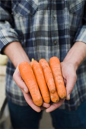 simsearch:6102-06965813,k - Man holding carrots in his hands. Stock Photo - Premium Royalty-Free, Code: 6102-03905359