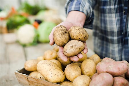 simsearch:6102-06965816,k - Farmer showing ecological potatoes. Stock Photo - Premium Royalty-Free, Code: 6102-03905366