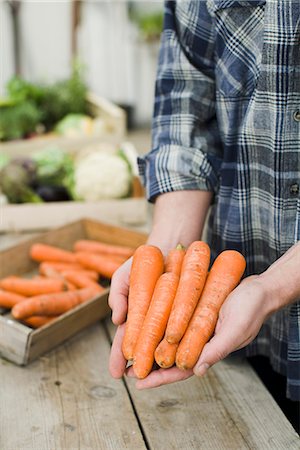 fruit and vegetable - Man holding carrots in his hands. Stock Photo - Premium Royalty-Free, Code: 6102-03905316