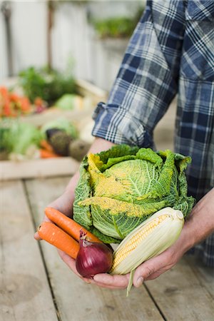 fruit and vegetable - Farmer holding vegetables in his hands. Stock Photo - Premium Royalty-Free, Code: 6102-03905330