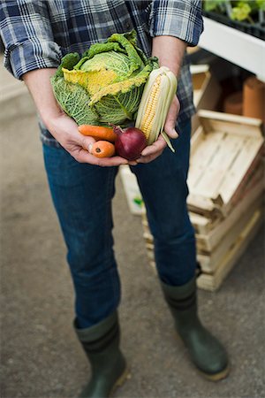 simsearch:6102-06965816,k - Farmer holding vegetables in his hands. Stock Photo - Premium Royalty-Free, Code: 6102-03905338