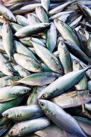 simsearch:614-06169178,k - Close-up of fish in market Stock Photo - Premium Royalty-Free, Code: 6102-03905814