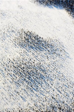 simsearch:6102-06026084,k - Aerial view of pine trees at winter Stock Photo - Premium Royalty-Free, Code: 6102-06374541