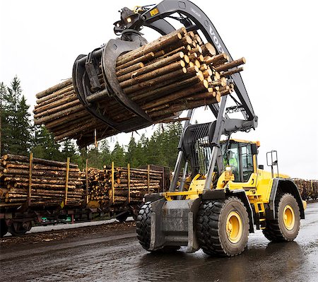 Logging vehicle carrying timber Stock Photo - Premium Royalty-Free, Code: 6102-06336508