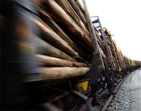 Train carrying timber Stock Photo - Premium Royalty-Free, Code: 6102-06336509