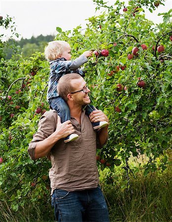 Father picking apples with his young son Stock Photo - Premium Royalty-Free, Code: 6102-06336684