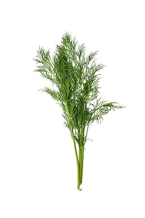 Studio shot of fresh dill Stock Photo - Premium Royalty-Free, Code: 6102-06336749