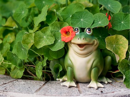 Garden toad figurine Stock Photo - Premium Royalty-Free, Code: 6102-06336895