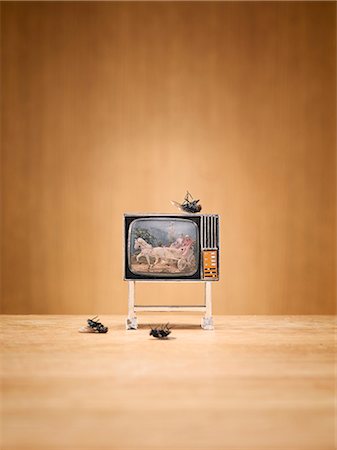 dead body - Miniature television and dead flies Stock Photo - Premium Royalty-Free, Code: 6102-06336819