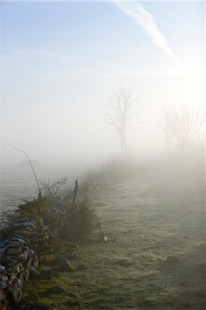 A hazy landscape, Sweden. Stock Photo - Premium Royalty-Free, Code: 6102-06470794