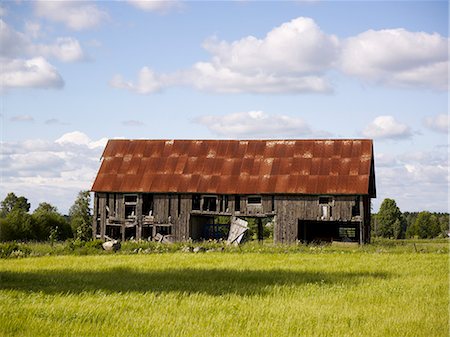 photos old barns - Old abandoned barn Foto de stock - Sin royalties Premium, Código: 6102-06471088