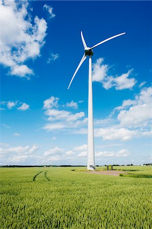 Wind turbine on field Stock Photo - Premium Royalty-Free, Code: 6102-06777241