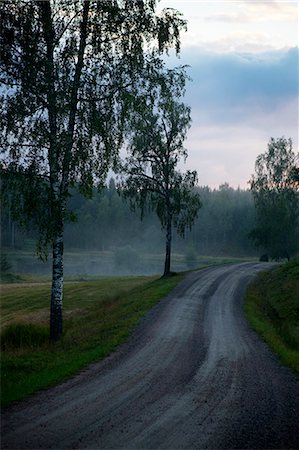 simsearch:6102-06026084,k - Foggy landscape with road Stock Photo - Premium Royalty-Free, Code: 6102-06777254