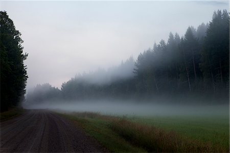 simsearch:6102-06026084,k - Foggy landscape with road Stock Photo - Premium Royalty-Free, Code: 6102-06777255