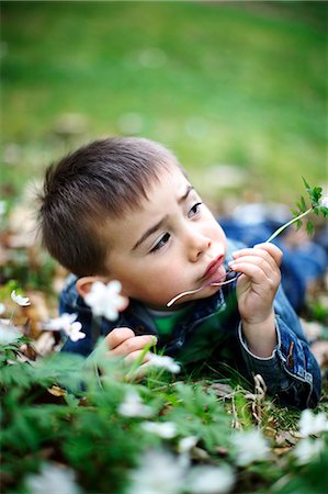 simsearch:6102-06965505,k - Smiling boy lying in grass Stock Photo - Premium Royalty-Free, Code: 6102-06965584