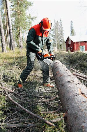 exterior color for house in the forest - Man sawing tree Stock Photo - Premium Royalty-Free, Code: 6102-06965822